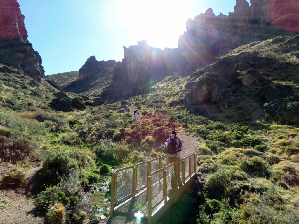 Parque Nacional Patagonia. Créditos: Jǒzepa Benčina.