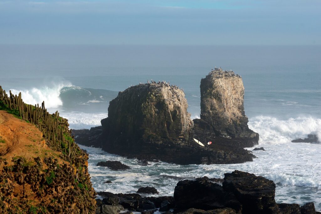 Punta de Lobos. Créditos: Patagonia.