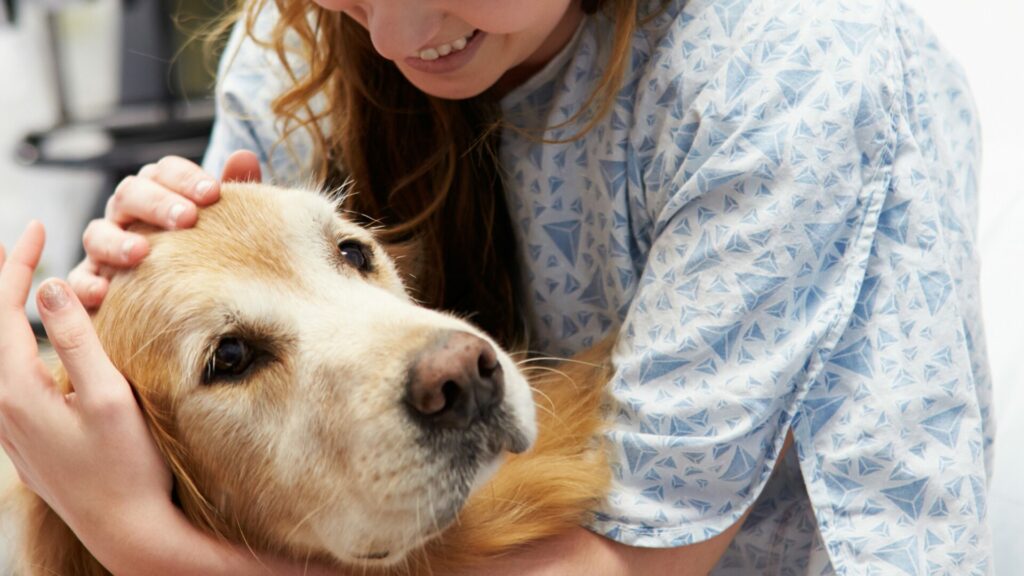 Terapia asistida con perros. Créditos: Bussines images.