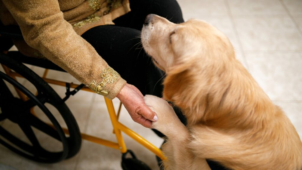 Terapia asistida con perros. Créditos: Capuski.