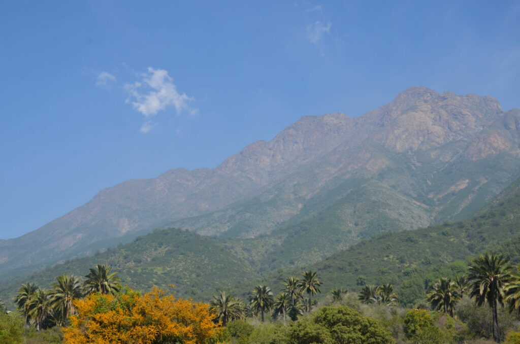 Parque Nacional La Campana. Foto: Conaf