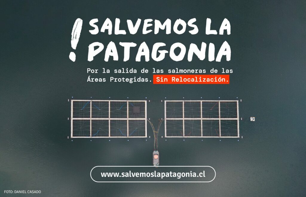 Salvemos la Patagonia es una campaña que busca la salida de las industrias salmoneras en áreas protegidas de Chile. Foto: Salvemos la Patagonia