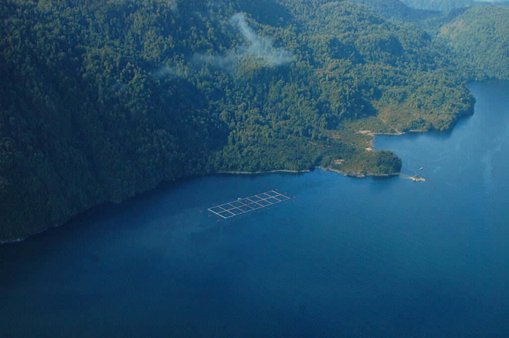 Foto: Salvemos la Patagonia