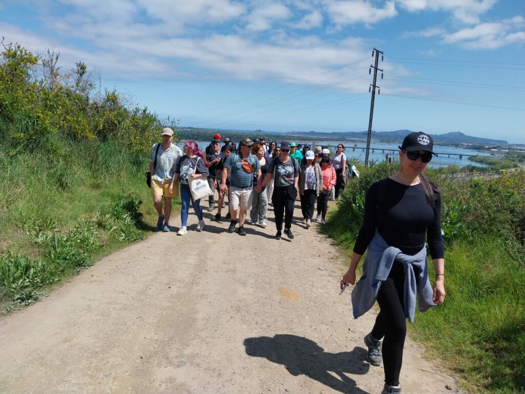 Sendero en Concepción. Créditos Fundación Cerros Isla