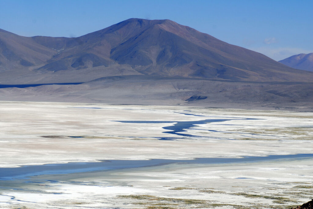 Santuario de la Naturaleza Salar del Huasco. Foto: Conaf