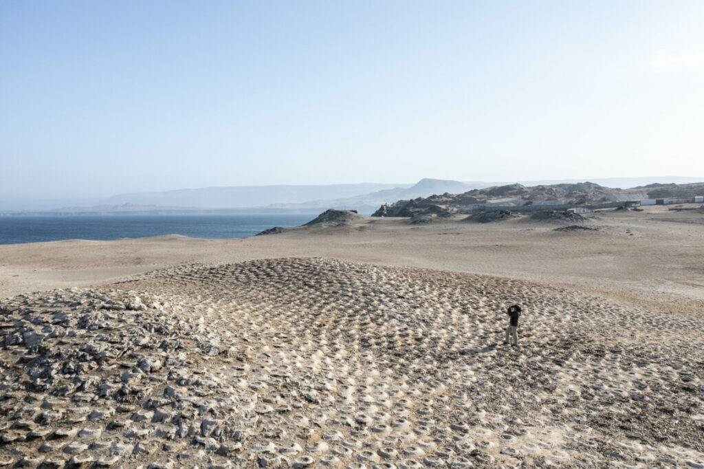 Punta San Juan, Perú. Foto: Cortesía de Ana Elisa Sotelo