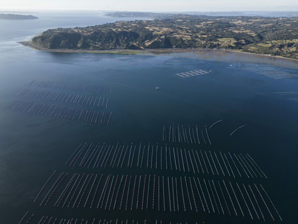 Salmoneras en Chile