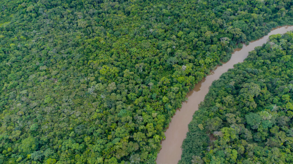 Río Amazonas, Brasil