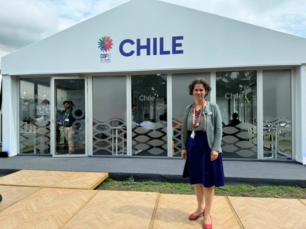 Maisa Rojas, ministra del Medio Ambiente de Chile, en esta COP 16. Créditos: Martín del Río L.