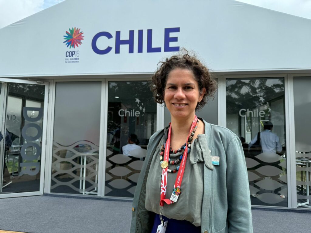 Maisa Rojas, ministra del Medio Ambiente de Chile, en esta COP 16. Créditos: Martín del Río L.