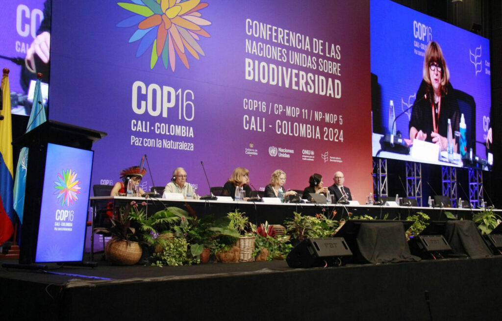 Inauguración COP16. Créditos UN Biodiversity