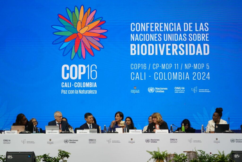 COP16. Créditos: UN Biodiversity