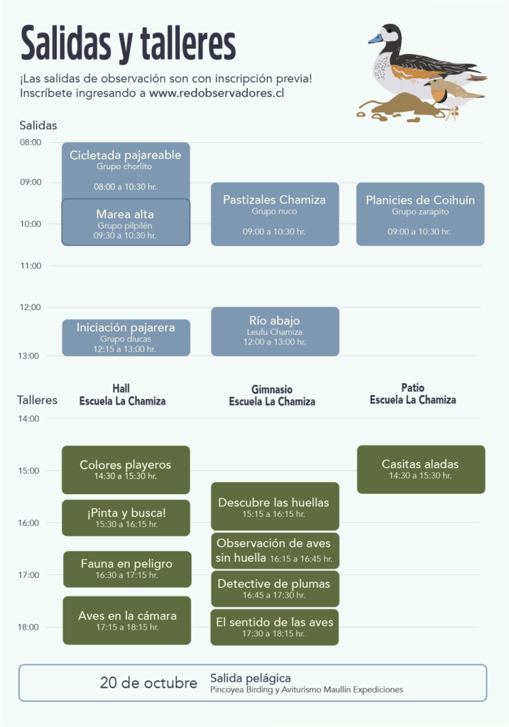 4ª edición del Festival de Aves de Coihuín y Chamiza