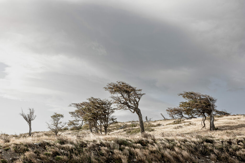 Patagonia, the land of living winds