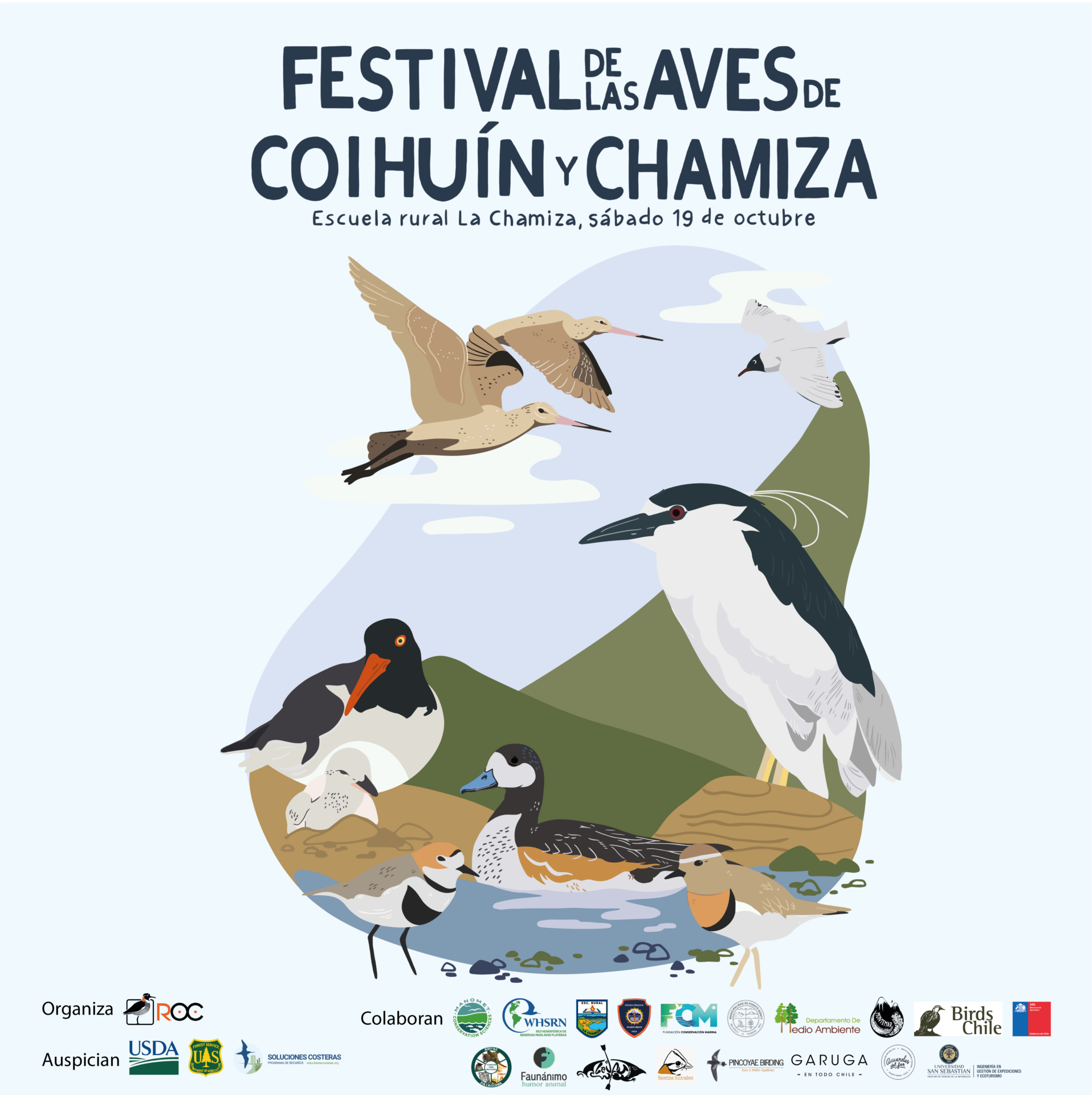 ¡Las aves de Coihuín y Chamiza tendrán una 4ta versión de festival con actividades totalmente gratuitas!