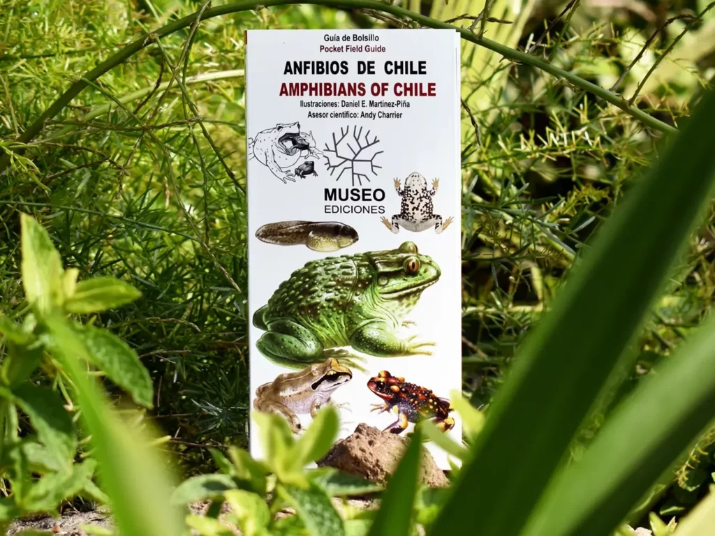 Guía de Campo de Anfibios Museo Ediciones