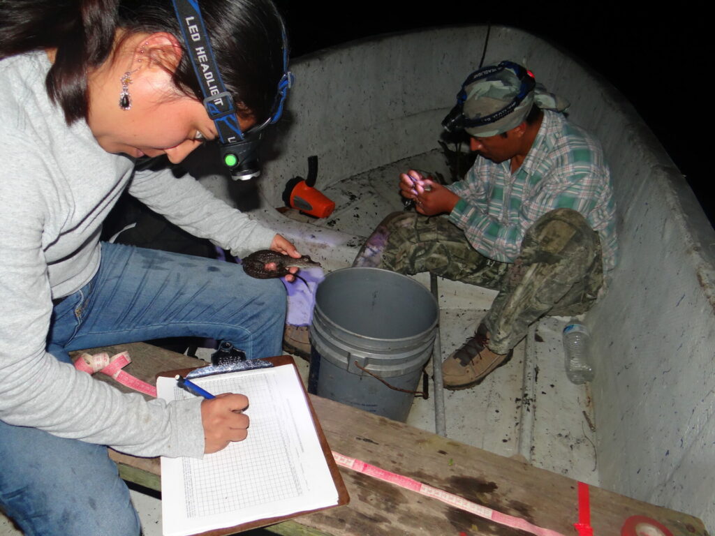 La ingeniera ambiental Yessenia Sarmiento Marina y su hermano, el biólogo Édgar Sarmiento Marina, durante una jornada de monitoreo nocturno. 