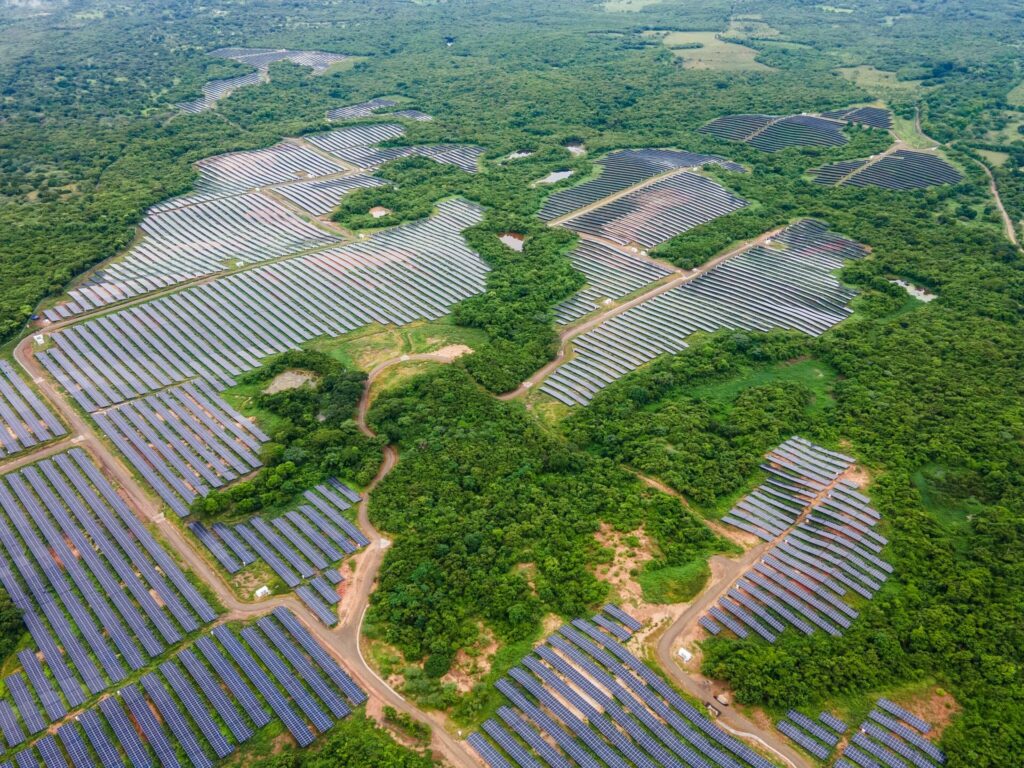 Los paneles en el complejo solar Bosques Solares de Bolívar