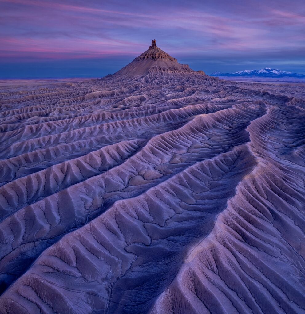 Primer lugar categoría Naturaleza: “Ground vein" de Xiaoying Shi.