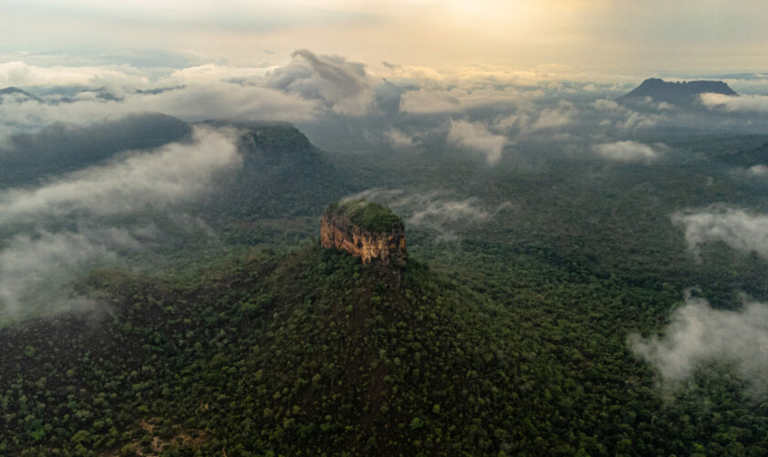 Adentrándose al Cerrado, amenazado y único bioma que ocupa la cuarta parte de Brasil