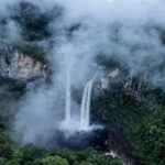 Fotoreportaje Proyecto El Cerrado Amazonas Brasil