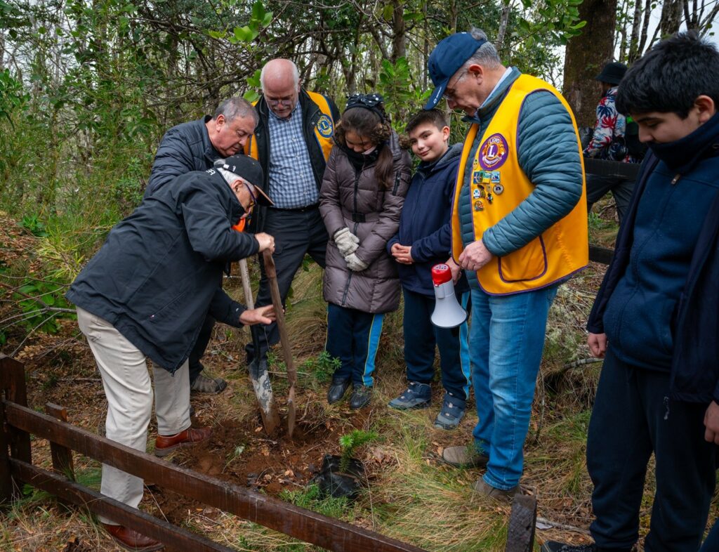 Proyecto Araucarias - Rubén Carrillo