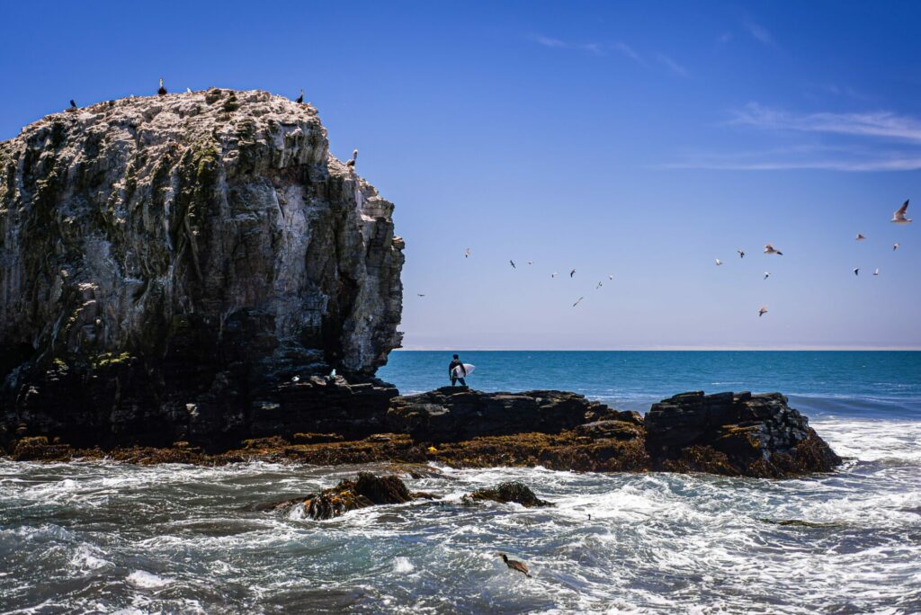 Roquerío Punta de Lobos