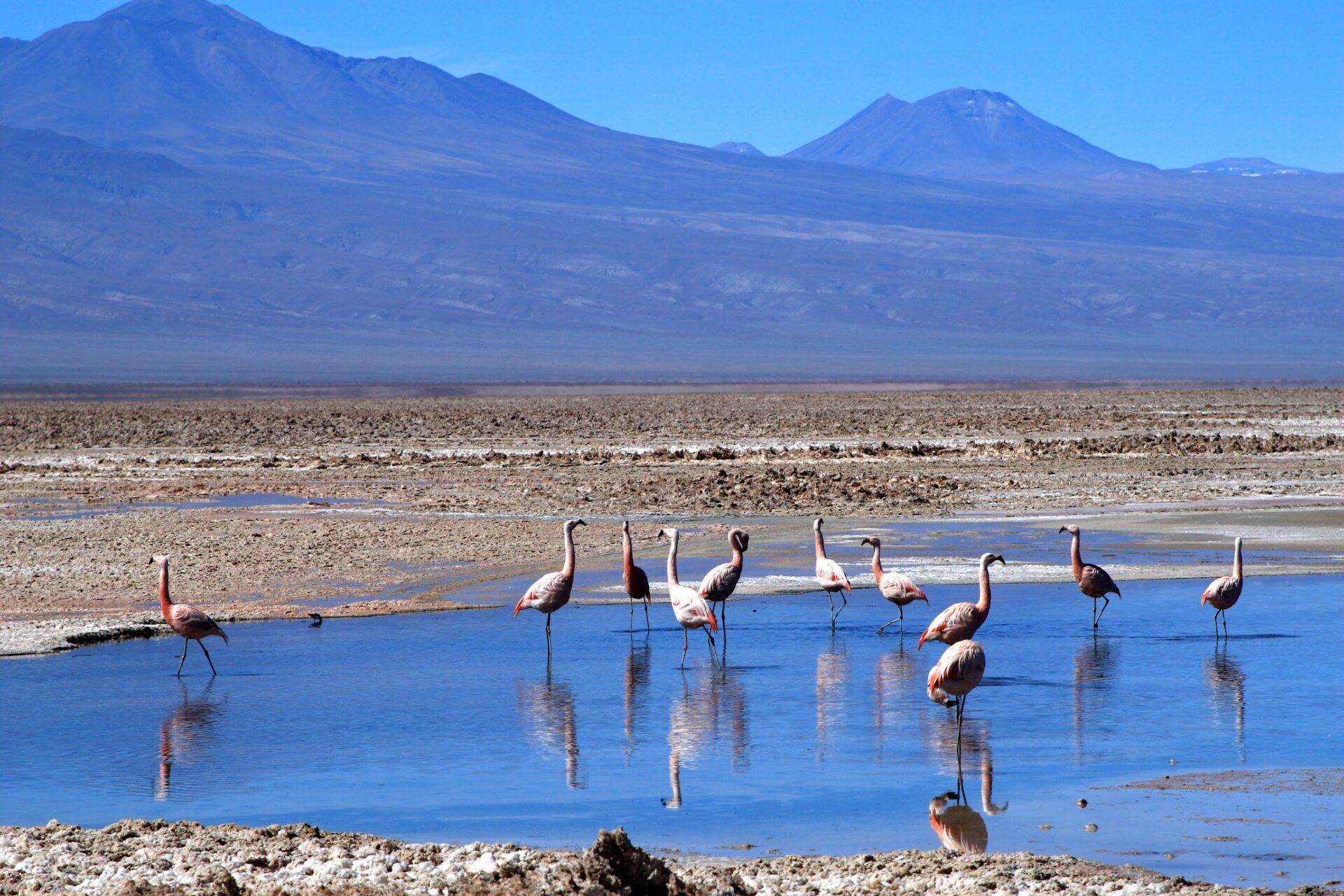 COP16, diversidad biocultural y energía: ¿Estamos avanzando hacia una transición justa?