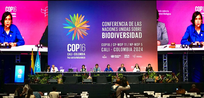 Trabajos en la COP16. Foto UN Biodiversity