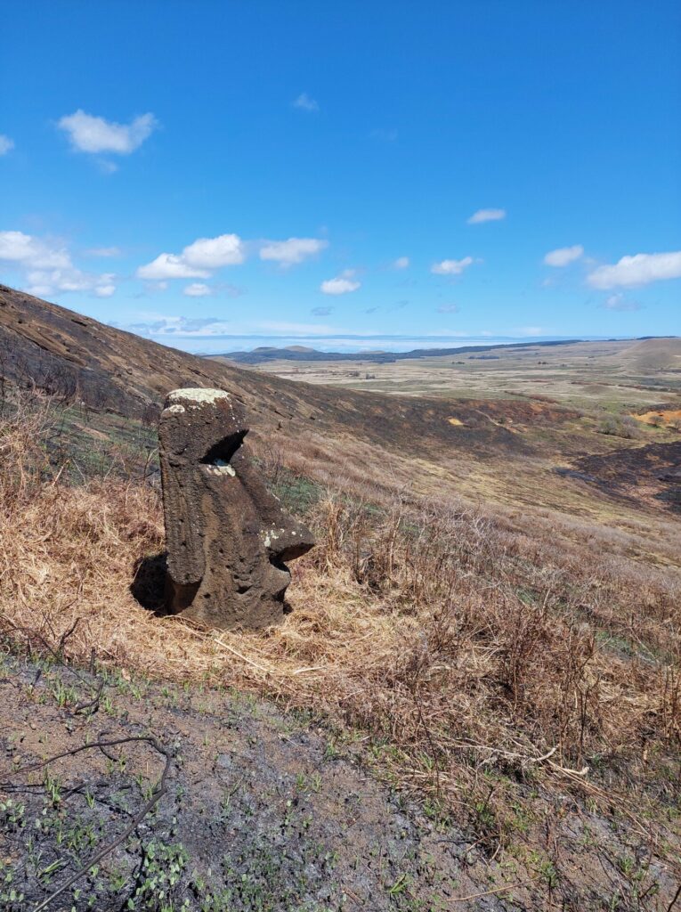 Moai Rapa Nui 2023. Créditos: Miguel Carrasco, UNESCO