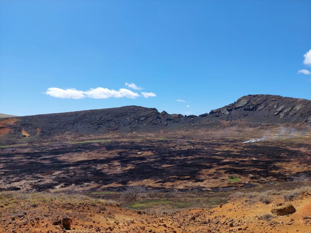 Rapa Nui 2023. Créditos: Miguel Carrasco, UNESCO