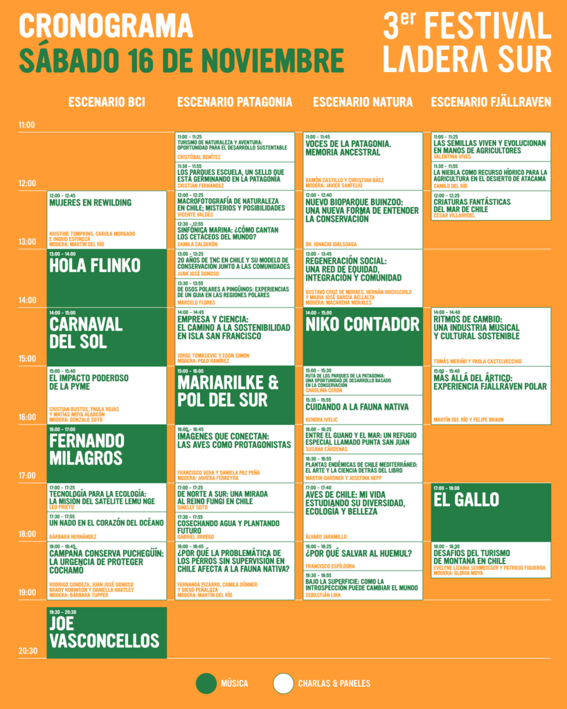 Cronograma Festival Ladera Sur 16 de noviembre