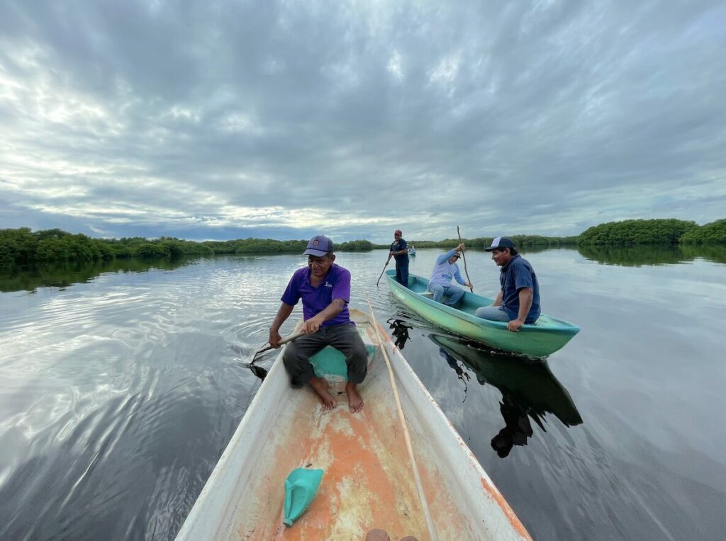 Recorrido por el estuario con los pescadores de Topón. Créditos: Astrid Arellano