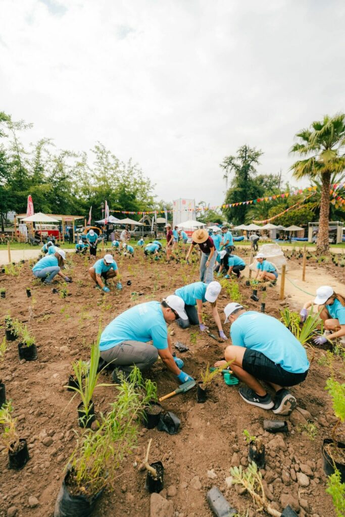 Actividad de reforestación en Festival Ladera Sur