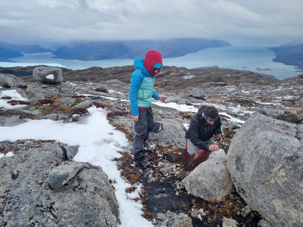 Glaciar Pío XI. Créditos: Geofísica U. de Concepción.