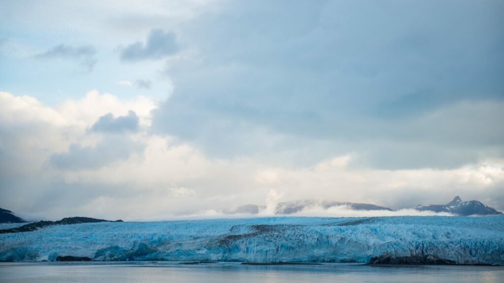 Glaciar Pío XI. Créditos: Adam Wallis.