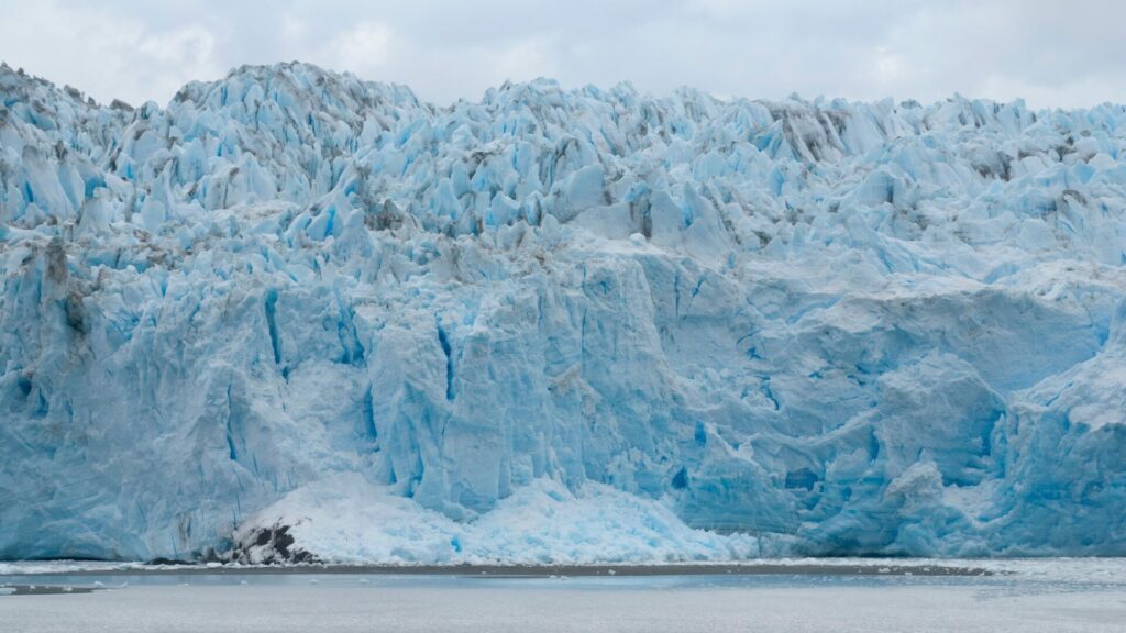 Glaciar Pío XI. Créditos: Bbuong.