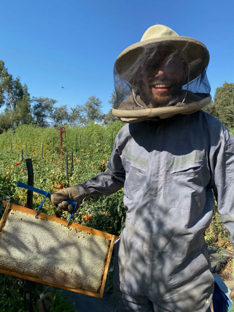 Apicultura De Huerta a la Raíz