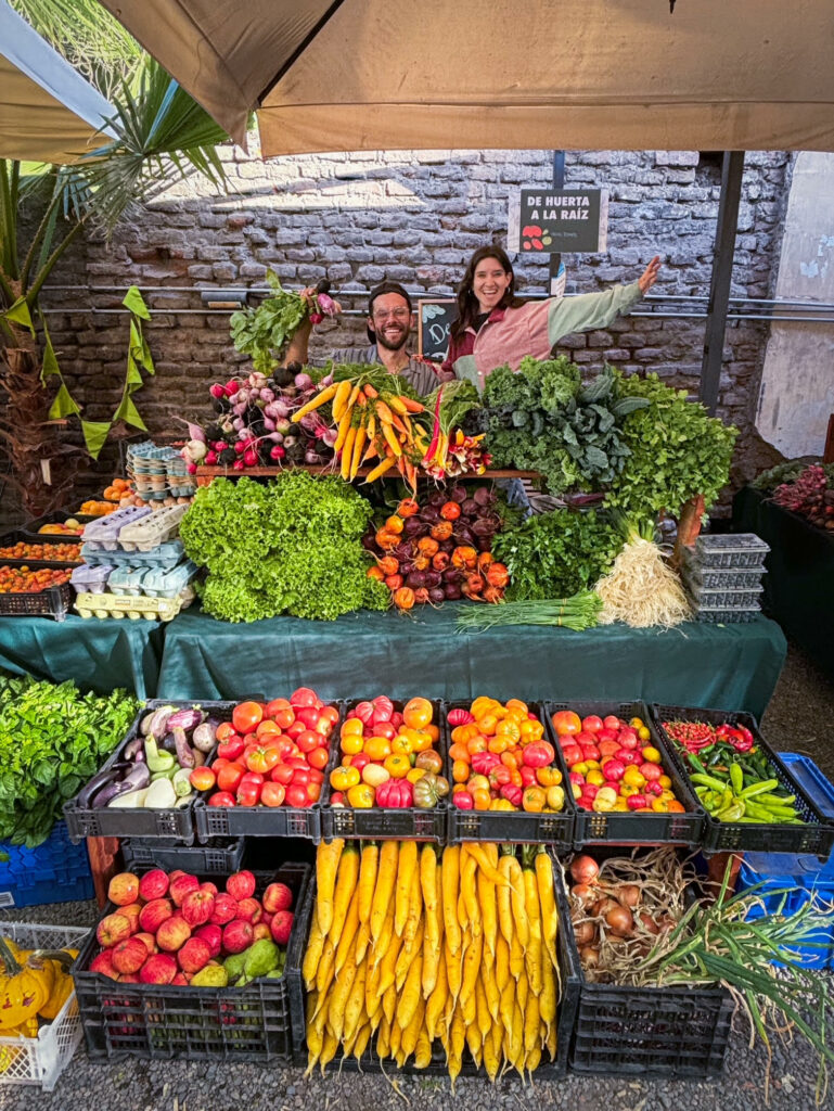 Variedad de frutas y verduras que produce De Huerta a la Raíz 