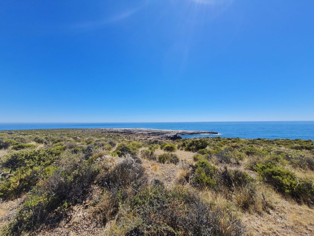 Punta Tombo, Argentina. Archivos Fiscalía