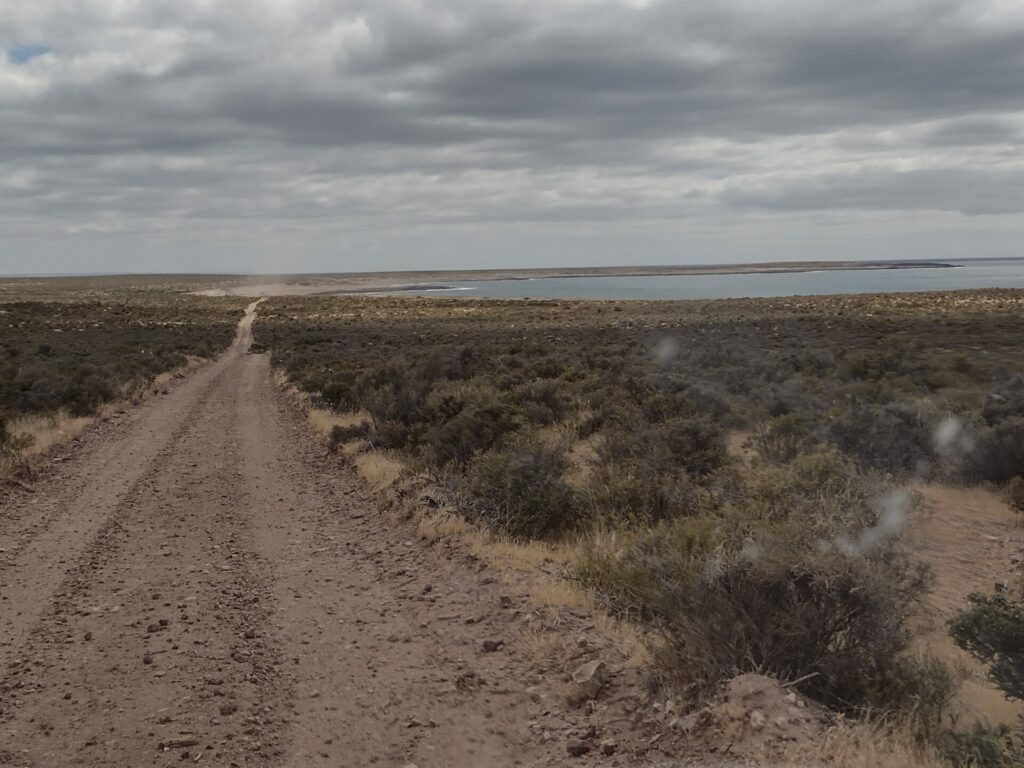 Punta Tombo, Argentina. Archivos Fiscalía