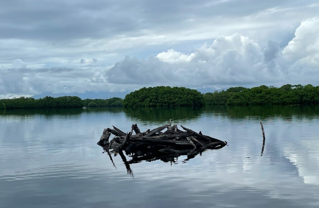 Un “cementerio de madera muerta” creado por los pescadores de Topón. Créditos: Astrid Arellano