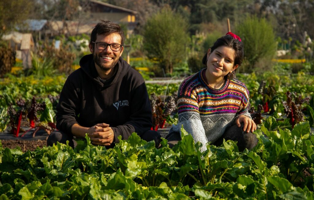 Oscar Contretas y Camila Pinto, creadores del emprendimiento De Huerta a la Raíz