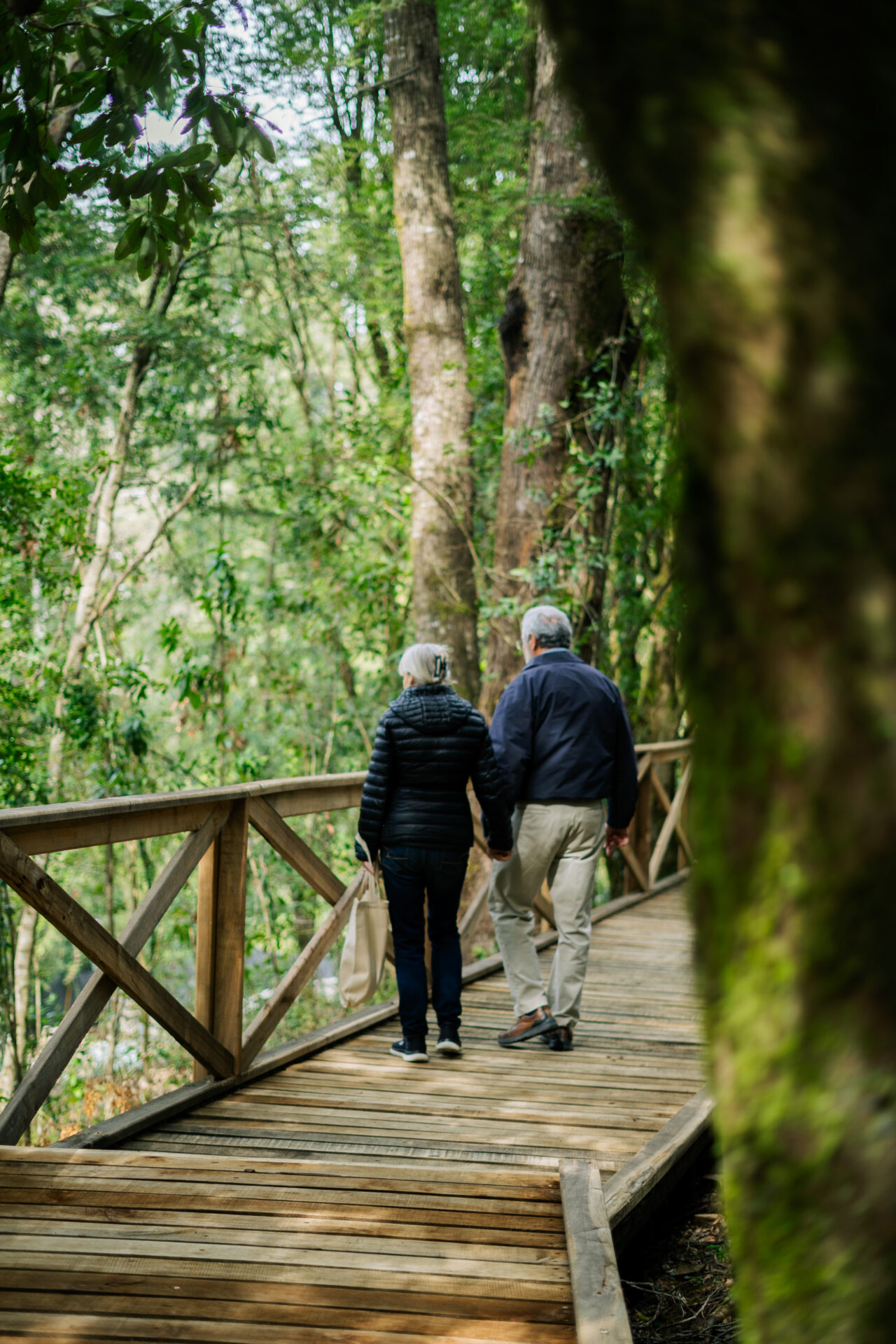 Inaugurarán el Parque Termal Botánico, primer jardín botánico con ...