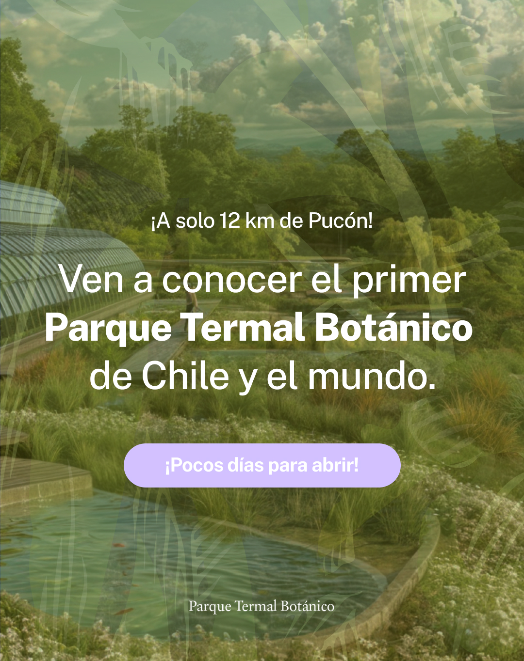 Inaugurarán el Parque Termal Botánico, primer jardín botánico con ...