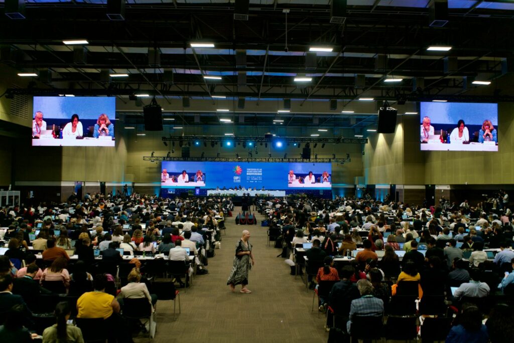 Plenario COP16. Créditos: UN Biodiversity.