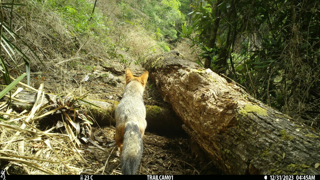 Foto de Dario Moreira