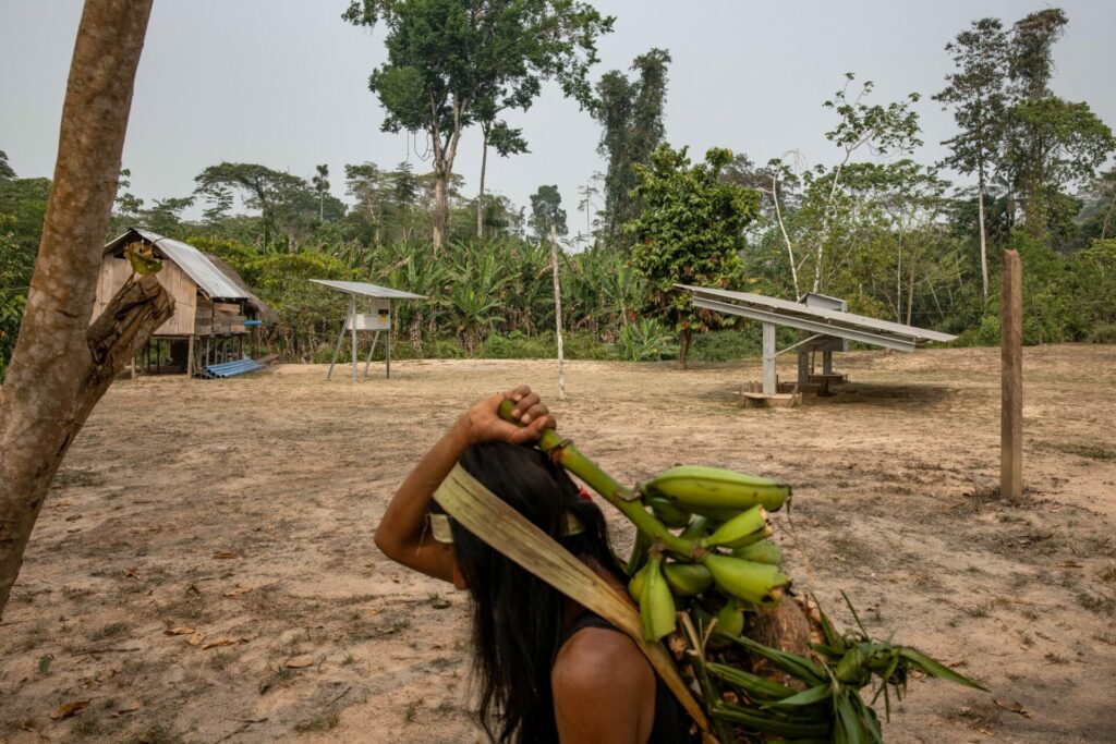 Una mujer transporta plátanos y mandioca, las principales fuentes de sustento de la comunidad Macuã, en el estado brasileño de Acre, en la selva amazónica. La aldea, formada por solo tres casas de madera, unos pocos paneles solares y pequeñas parcelas para cultivos alimentarios, es el lugar donde Xinã Yura, un hombre de 33 años del territorio indígena yawanawá, se someterá a su iniciación como chamán. Créditos: Victor Moriyama / Dialogue Earth
