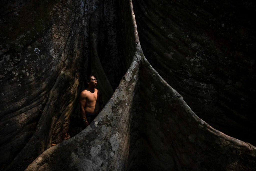 Xinã Yura se encuentra en la base de un ceiba, árbol sagrado para los pueblos yawanawá y noke kuin de Acre, mientras se prepara para convertirse en líder espiritual y curandero, un chamán guardián de tradiciones ancestrales y responsable de la conservación de la selva. Créditos: Victor Moriyama / Dialogue Earth