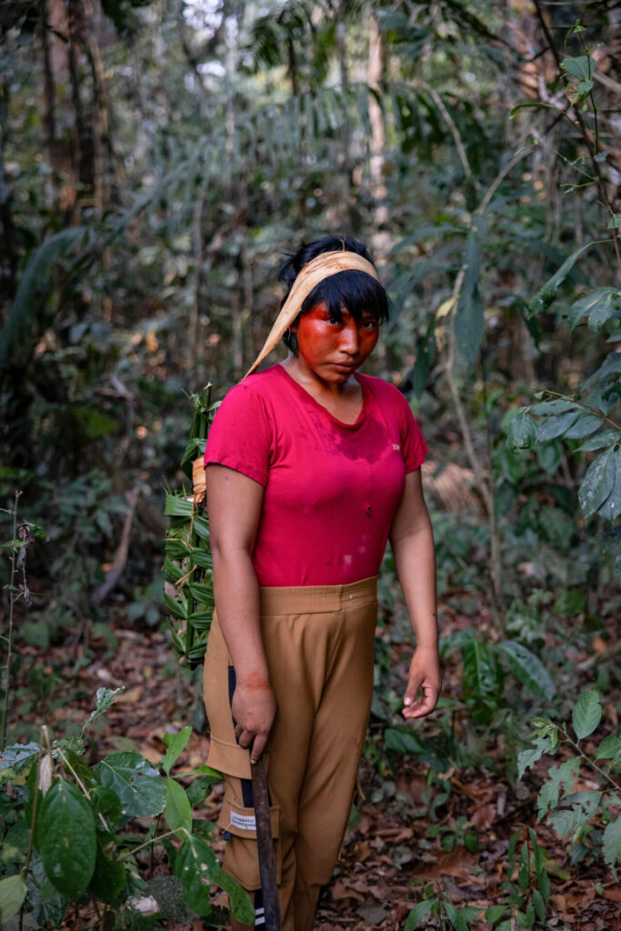 Meyö Kamanawá, la mujer de Pocha, cosechando raíces de mandioca para preparar kaissuma, hecha con mandioca hervida y la saliva de las mujeres de la aldea. Esta papilla será la base de la dieta de Xinã y Érica durante los próximos seis meses. Créditos: Victor Moriyama / Dialogue Earth
